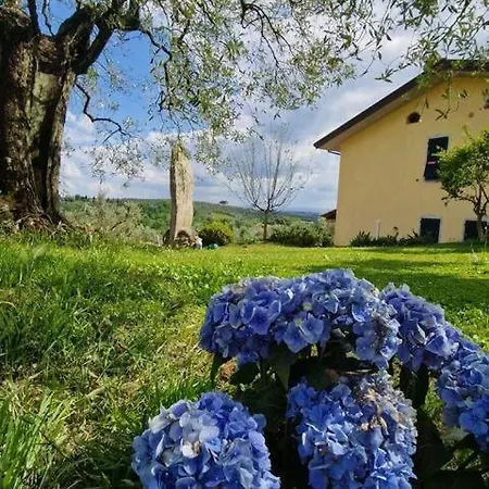 Casa Vetrialla I Apartamento Vinci