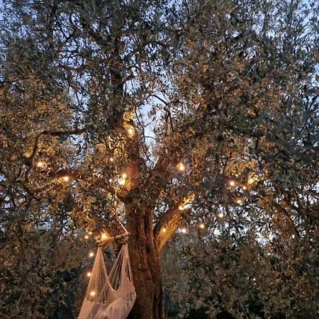 Casa Vetrialla I Apartamento *