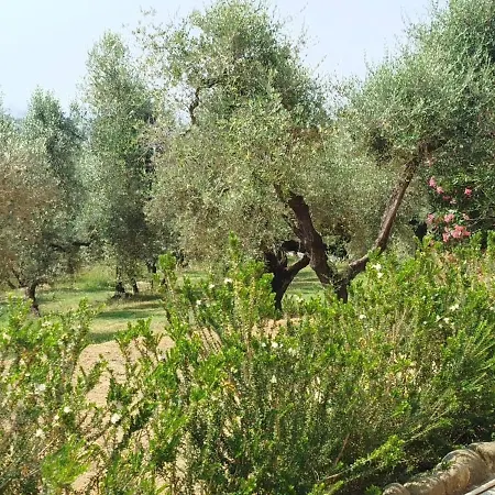 Casa Vetrialla I Apartamento *