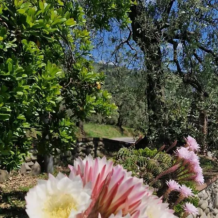 Casa Vetrialla I Vinci